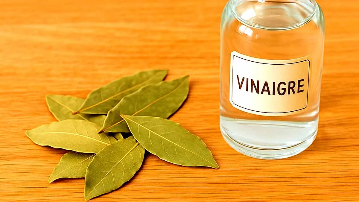 Så håller du skadedjur borta — naturligt