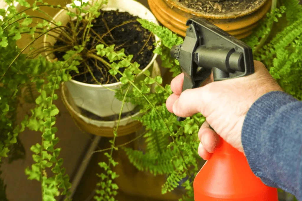 Svart tvål — en naturlig vän för hemmet och trädgården